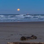 Kay McMichael's photo