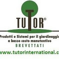 Foto di profilo di Tutor International