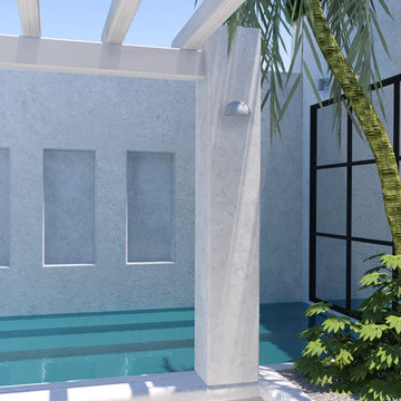 Contemporary tropical backyard