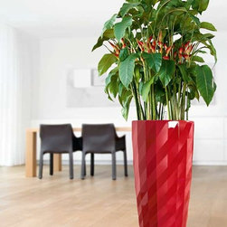 Modern Planter - Products