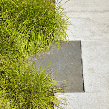 Modern Prairie Front Walk - New Berlin, WI
