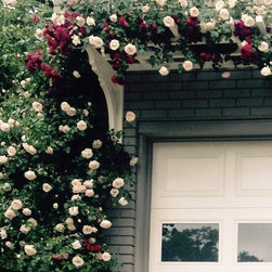 Wall Mounted Pergolas for Garages, Doors & Windows - Products