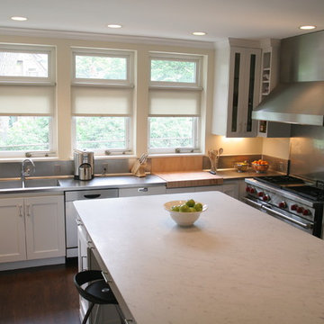 Lake Harriet Remodel