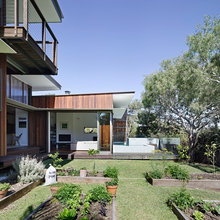 vege garden