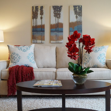 Vacant Home Staging Projects