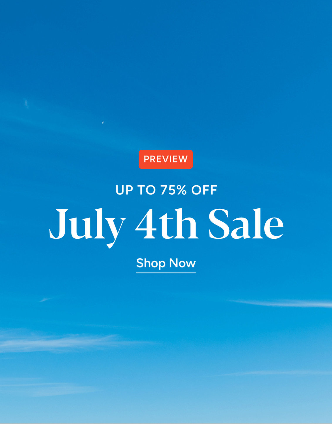 Shop Promo Banner