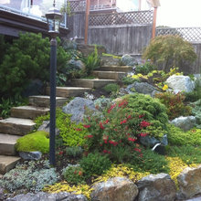 Planting on Slopes