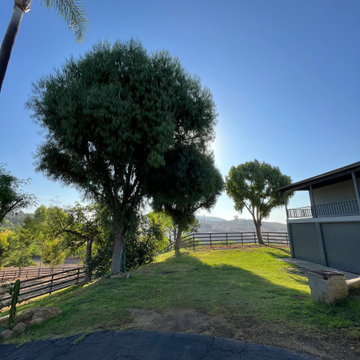 La Habra Heights