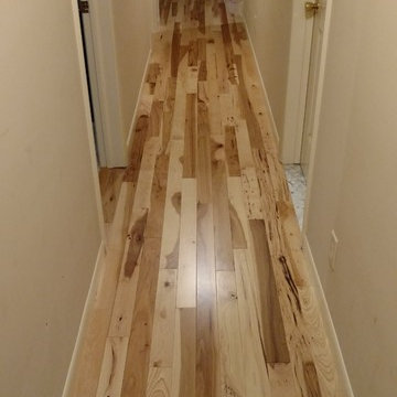 Somerset Hickory