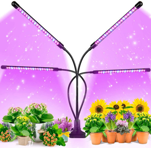 grow lights for overwintering plants