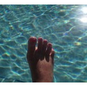 Beverly Buckner's photo