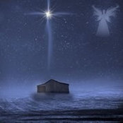 Lauren Dunn's photo