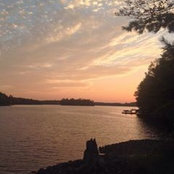Debra Dawe's photo