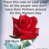 Mary Wilcox's photo