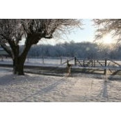 Maggie Showman's photo