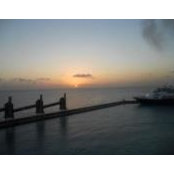 Carmen Koch's photo
