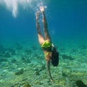 Sarah Wildmann's photo