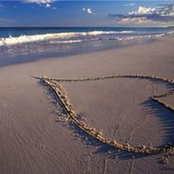 Deborah Robinson's photo