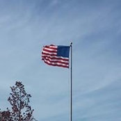 Carol Schaeffer's photo