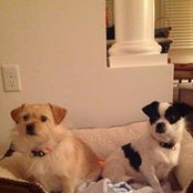 Melissa Bauer's photo