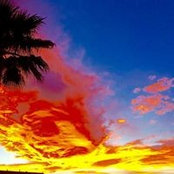 Lynn Rocheleau's photo