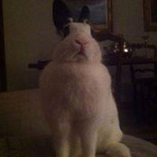 Victoria Bernar's photo