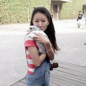 Chu Hungさんの写真