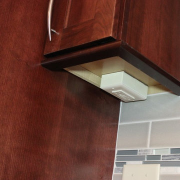 Davenport- Curious Cats Show Us Their New Kitchen