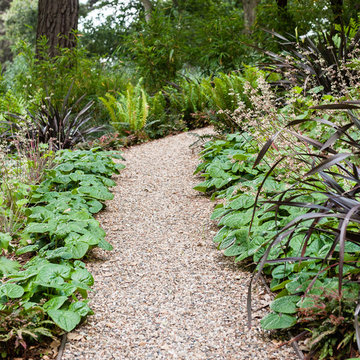 Shady Contemporary Garden in the Oakland Hills