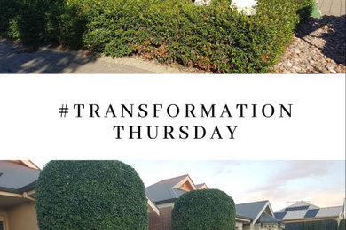 V.I.P. Lawns and Gardens Transformations