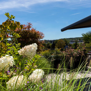 une terrasse foisonnante!