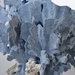 Corals - Products