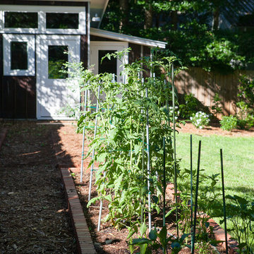 Rain Gardens & Native Plants