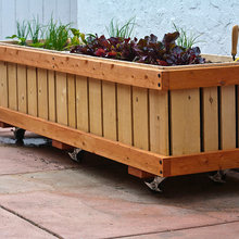 Exterior Ideas