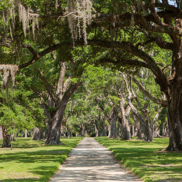 Chicora Wood Plantation