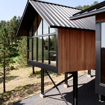Pine Tree House