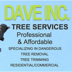 Dave Inc Tree