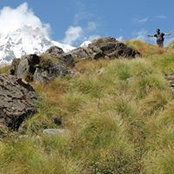 Manish Niroula's photo