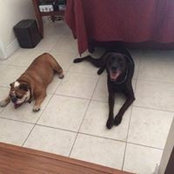 Robert Hanrahan's photo
