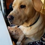 Jenn Beers's photo