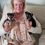 Jane Damron Tharp's photo