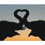 Ali Hillaby's photo