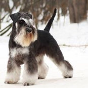 Olly Medvedeva's photo