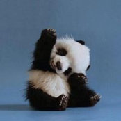 Barb Arnaud's photo