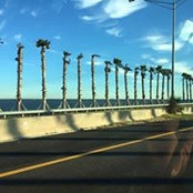 Foto von Gina Perez