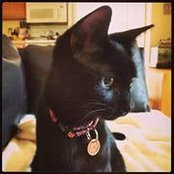 Beth Hill's photo