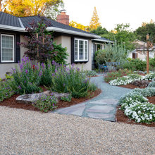 Yard - low water