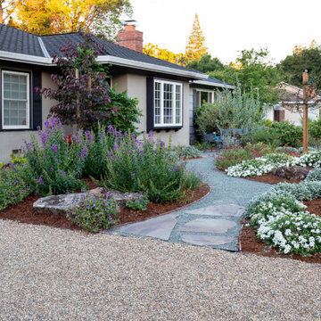 No Mow -Low Water Use / Drought Resistant