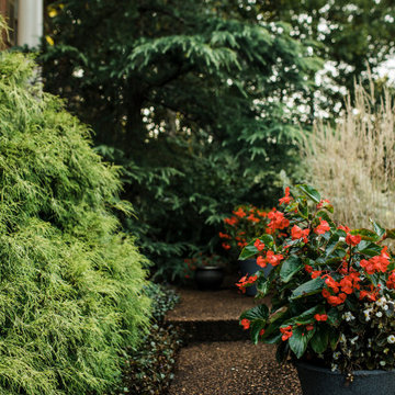 Vibrant Plantings and Woodland Paths