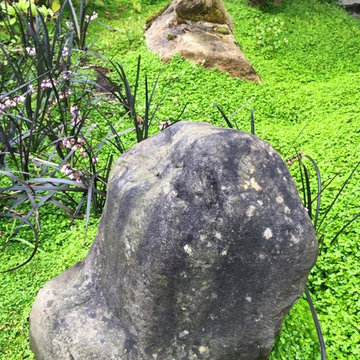 Jardin de thé